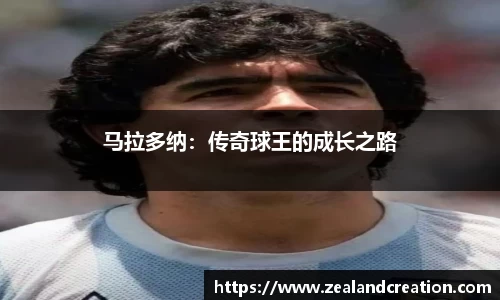 华体会hth·(体育)