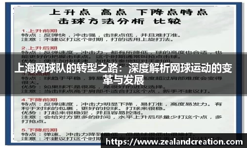上海网球队的转型之路：深度解析网球运动的变革与发展